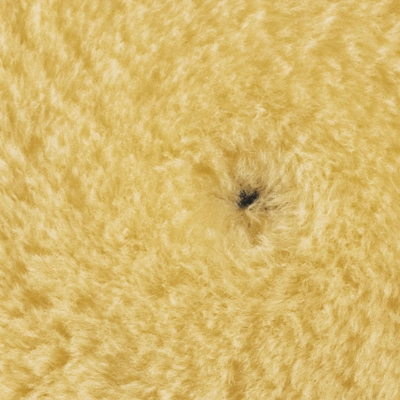 RUPES KRZNO ŽUTO fi150/170mm -9.BW180M