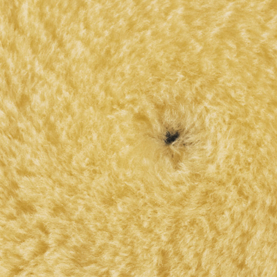 RUPES KRZNO ŽUTO fi150/170mm -9.BW180M